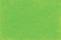 CARAN d'ACHE® | NEOART™ 6901 Artists'permanent wax oil pastel — los, heel krijtje, Spring green