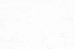 CARAN d'ACHE® | NEOART™ 6901 Artists'permanent wax oil pastel — los, heel krijtje, White