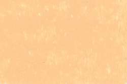 CARAN d'ACHE® | NEOART™ 6901 Artists'permanent wax oil pastel — los, heel krijtje, Butternut