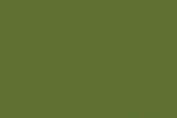 HOLBEIN | IRODORI ARTISTS' GOUACHE — los, tube 15 ml, Uguisu / Elm green