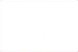 HOLBEIN | IRODORI ARTISTS' GOUACHE — los, tube 15 ml, Gofun / White