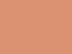 LEFRANC & BOURGEOIS | Flashe® BIOBASED vinylverf, 75 ml, Pale terracotta