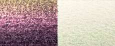 Chroma pearl pink