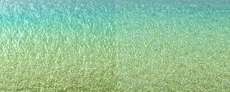 CHROMASHINE® Green