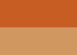 Raw Sienna
