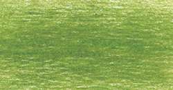 DERWENT | DRAWING tekenpotlood — los, Moss green