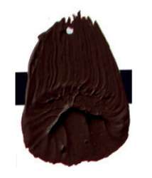 Tri-Art™ | F.Q. LOW VISCOSITY acrylverf — los, flacon 120 ml, Burnt umber