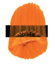 Tri-Art™ | F.Q. LOW VISCOSITY acrylverf — los, flacon 120 ml, Indian yellow