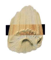 Tri-Art™ | F.Q. LOW VISCOSITY acrylverf — los, flacon 120 ml, Interference orange