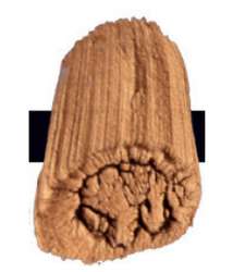 Tri-Art™ | F.Q. LOW VISCOSITY acrylverf — los, flacon 120 ml, Iridescent copper