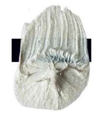 Tri-Art™ | F.Q. LOW VISCOSITY acrylverf — los, flacon 120 ml, Iridescent pearl