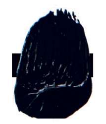 Tri-Art™ | F.Q. LOW VISCOSITY acrylverf — los, flacon 120 ml, Paynes grey