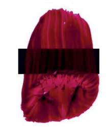 Tri-Art™ | F.Q. LOW VISCOSITY acrylverf — los, flacon 120 ml, Quinacridone red