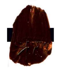 Tri-Art™ | F.Q. LOW VISCOSITY acrylverf — los, flacon 120 ml, Transparent brown