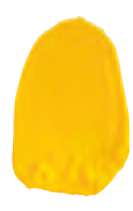 Cadmium yellow medium hue