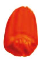 Transparent permanent orange