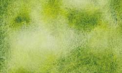 WHITE NIGHTS™ granulerende aquarelverf - los, hele nap