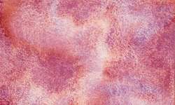 WHITE NIGHTS™ granulerende aquarelverf - los, hele nap