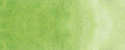 Kuretake | GANSAI TAMBI™ Japanse aquarelverf — los, XL nap, Pearl may green MC21-751