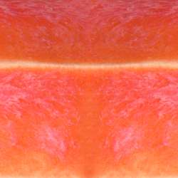 Speedball® | MID-FIRE™ GLAZE kwastglazuur 1180-1220°C — los, pot 473 ml, Living coral