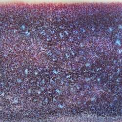 Speedball® | MID-FIRE™ GLAZE kwastglazuur 1180-1220°C — los, pot 473 ml, Galaxy mist