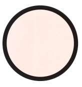 OR2.0 Scallop