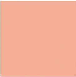 STAEDTLER Fasermaler triplus color, Salmon