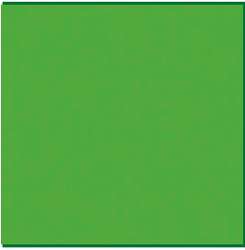 STAEDTLER Fasermaler triplus color, Willow green
