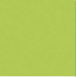 STAEDTLER Fasermaler triplus color, Lime green