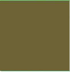 STAEDTLER Fasermaler triplus color, Olive green