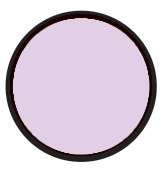 V2.1 Lilac