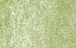 Iridescent green-yellow