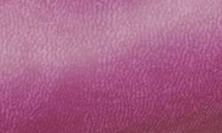 RHODIARAMA Federmäppchen, rund