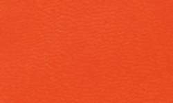 RHODIARAMA Federmäppchen, eckig