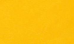 RHODIARAMA Federmäppchen, eckig