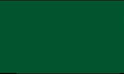 Pentel | POINTLINER Colour Dye S40 pens — individual, 0,4 mm, Green