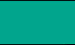 Pentel | POINTLINER Colour Dye S40 pens — individual, 0,4 mm, Sea green