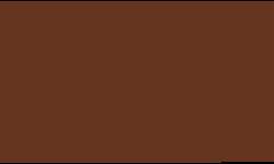 Pentel | POINTLINER Colour Dye S40 pens — individual, 0,4 mm, Walnut brown