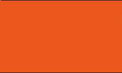 Pentel | POINTLINER Colour Dye S40 pens — individual, 0,4 mm, Orange