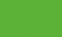 Pentel | POINTLINER Colour Dye S40 pens — individual, 0,4 mm, Bottle green