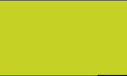 Pentel | POINTLINER Colour Dye S40 pens — individual, 0,4 mm, Lime green