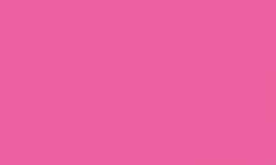 Pentel | POINTLINER Colour Dye S40 pens — individual, 0,4 mm, Rose pink