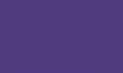 Pentel | POINTLINER Colour Dye S40 pens — individual, 0,4 mm, Violet