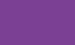 Pentel | POINTLINER Colour Dye S40 pens — individual, 0,4 mm, Royal purple