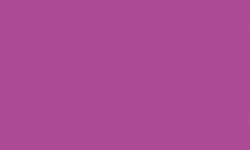 Pentel | POINTLINER Colour Dye S40 pens — individual, 0,4 mm, Fuchsia