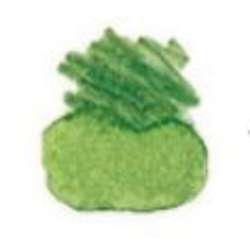 STAEDTLER® | Mars® Lumograph® aquarelpotlood — los, Chrome oxide green