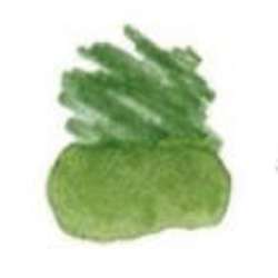 STAEDTLER® | Mars® Lumograph® aquarelpotlood — los, Pearl green