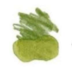 STAEDTLER® | Mars® Lumograph® aquarelpotlood — los, Olive green