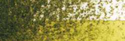 HOLBEIN | HWCP ARTISTS' WATERCOLOR PENCIL™ aquarelpotlood — los, Olive green