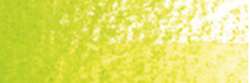 HOLBEIN | HWCP ARTISTS' WATERCOLOR PENCIL™ aquarelpotlood — los, Leaf green